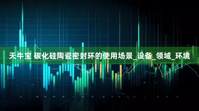 天牛宝 碳化硅陶瓷密封环的使用场景_设备_领域_环境