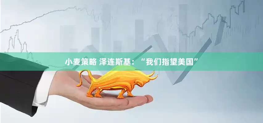 小麦策略 泽连斯基：“我们指望美国”