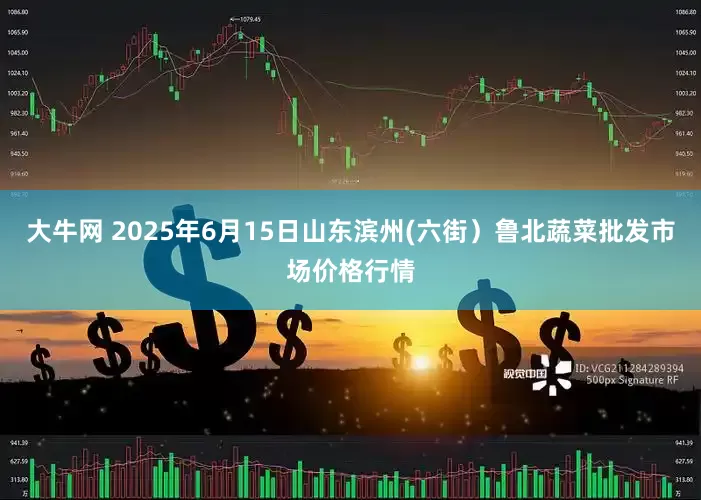 大牛网 2025年6月15日山东滨州(六街）鲁北蔬菜批发市场价格行情